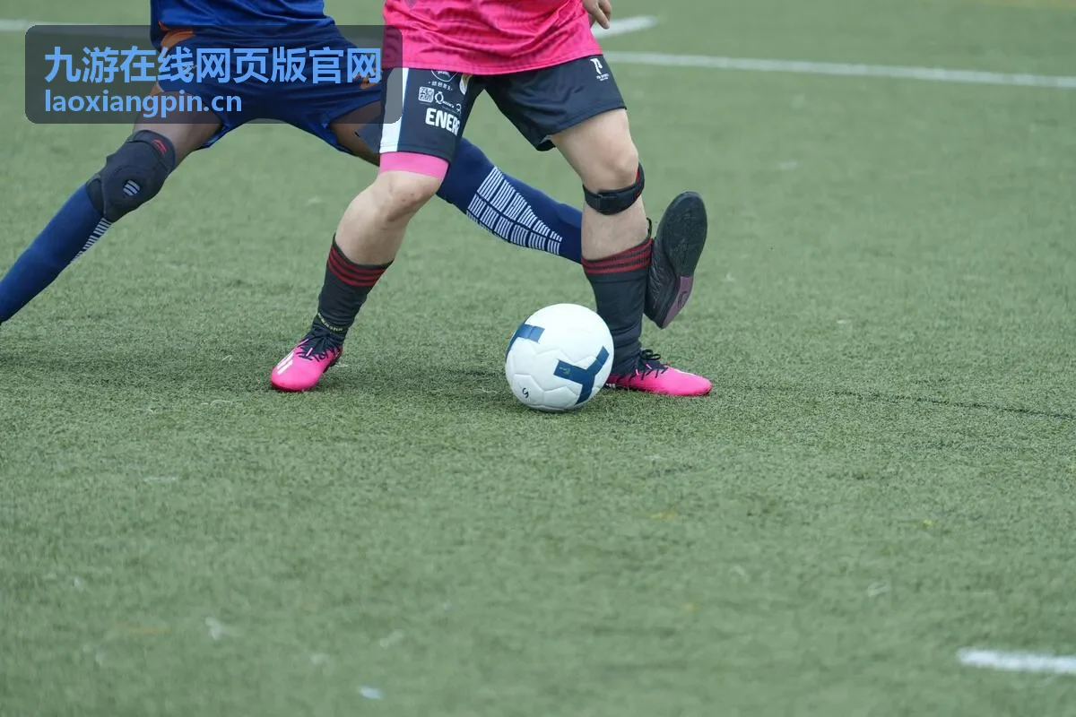九游在线网页版官网新手开局片段封面